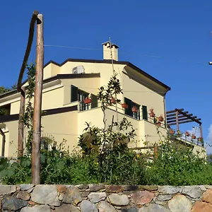 Joie De Vivre Itália